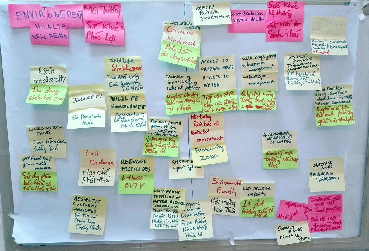 Key words and concepts suggested by participants for a collective definition of the health of a socio-ecosystem based on livestock production (Hanoi, Vietnam) © M. de Garine-Wichatitsky, CIRAD